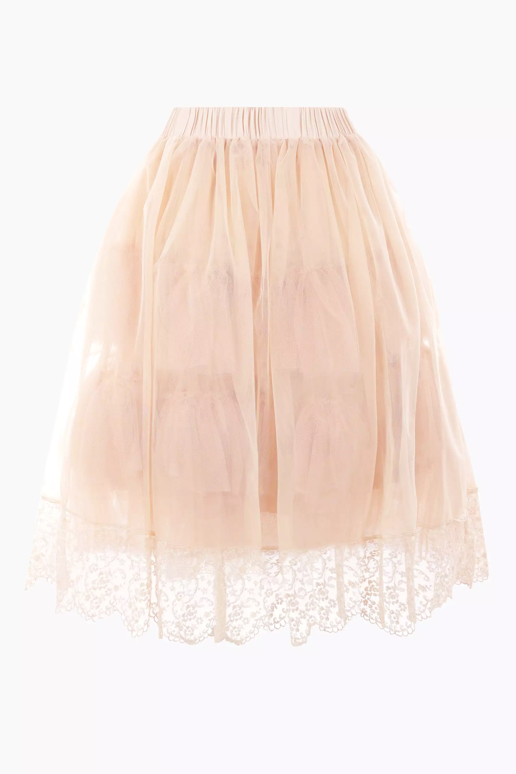 embroidered tulle skirt