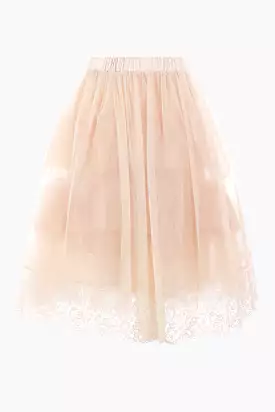 embroidered tulle skirt